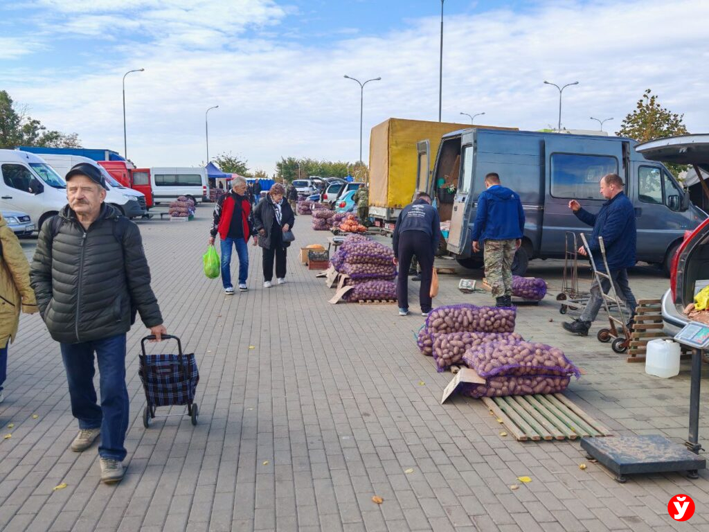 Картошка в "Минск-Арене"
