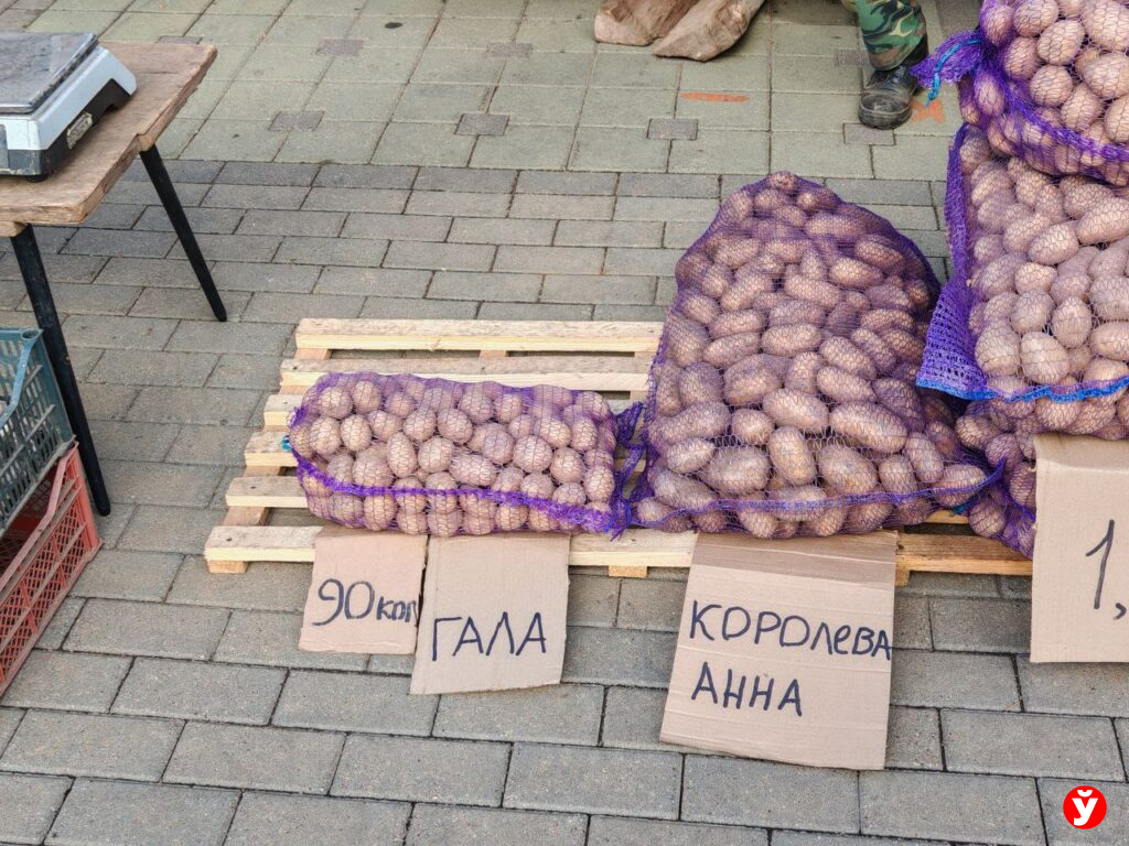 Картошка в "Минск-Арене"