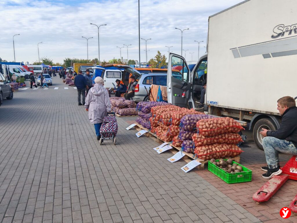 Картошка в "Минск-Арене"