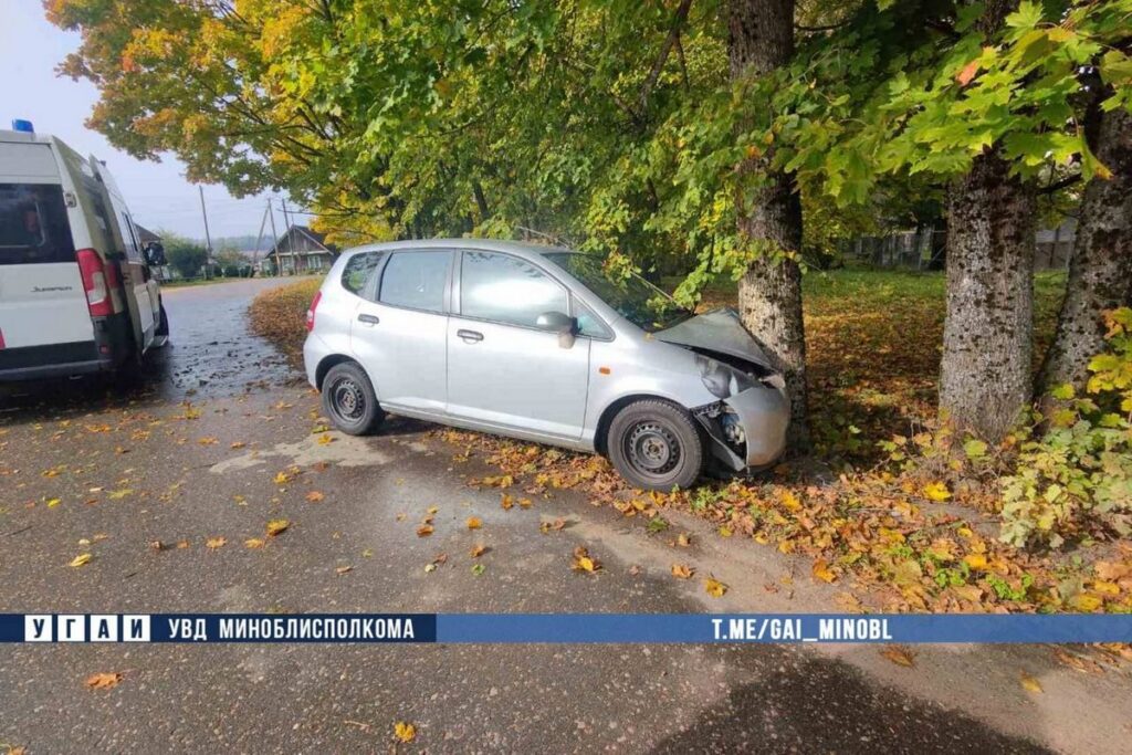 Под Минском водитель отвлекся от дороги и врезался в дерево: пострадала пассажирка