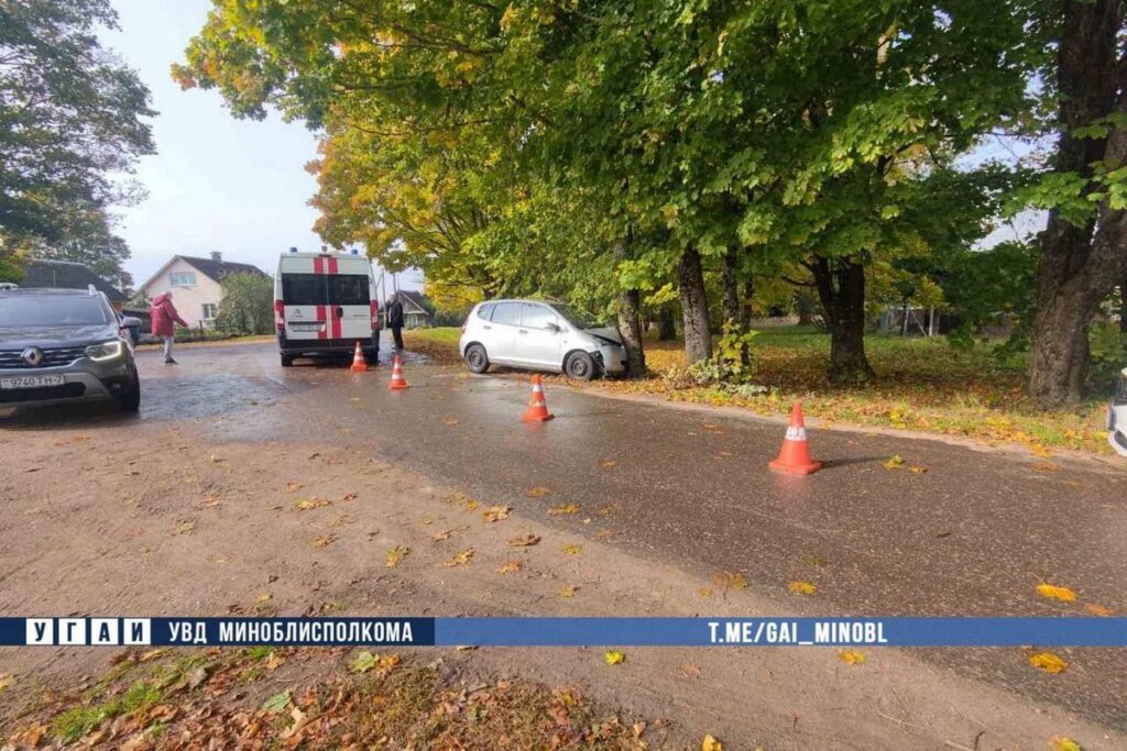 Под Минском водитель отвлекся от дороги и врезался в дерево: пострадала пассажирка