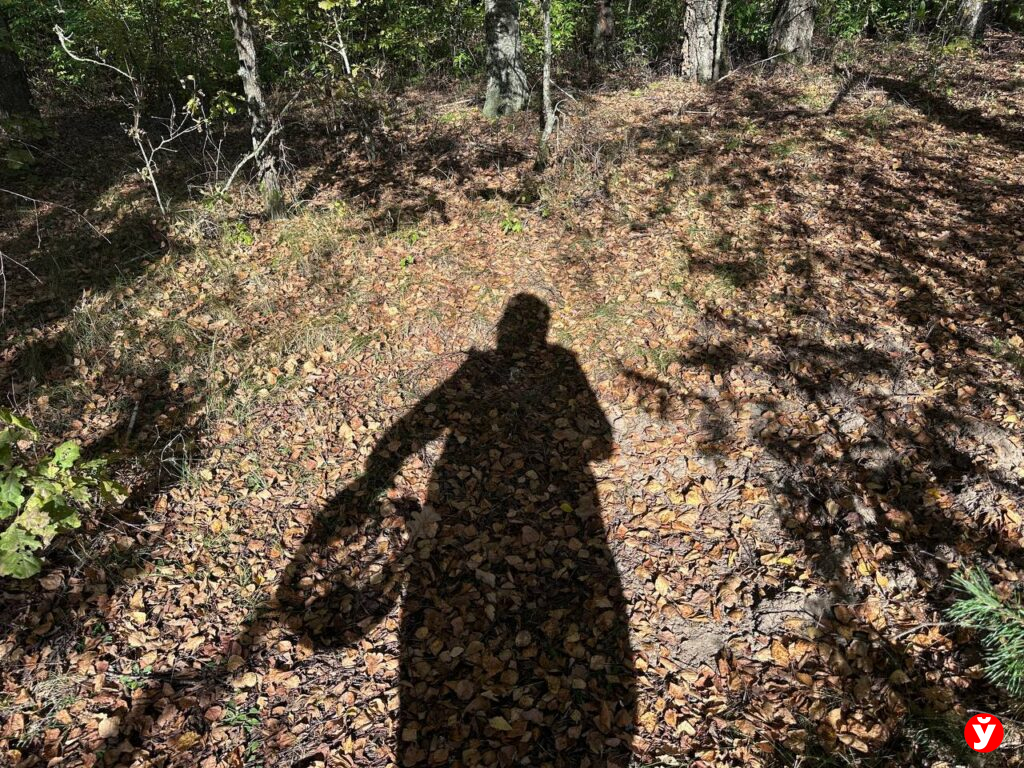 разведка