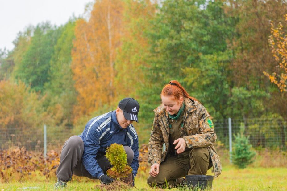 Проекты преображения. Комплексный подход к благоустройству центрального региона