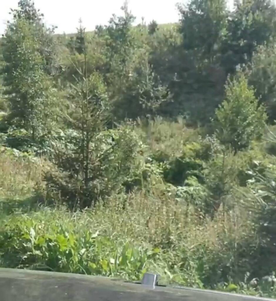 участок