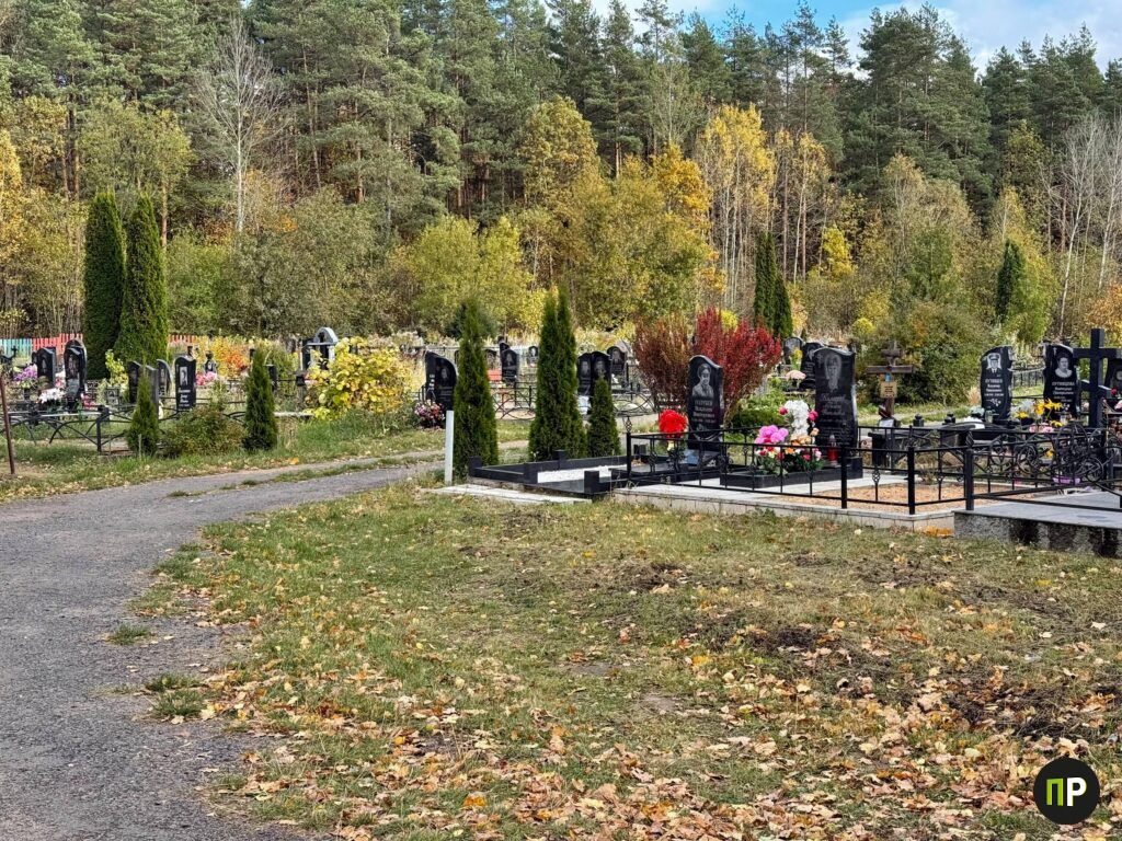 В Мачулищах решают давнюю проблему — на кладбище появятся новые участки