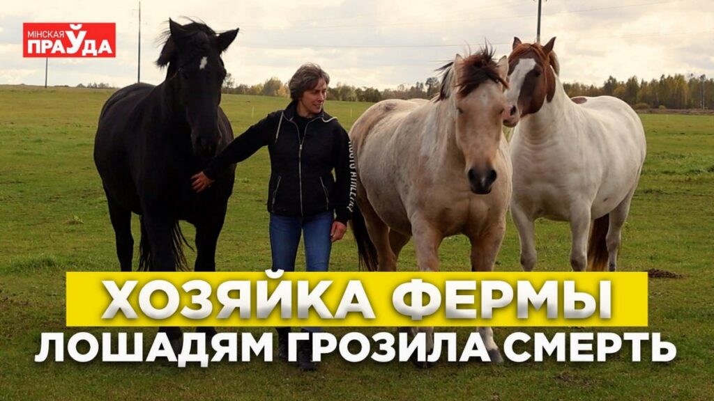 Тренер по конному спорту продала жилье в Минске и построила ферму для 80 спасенных животных