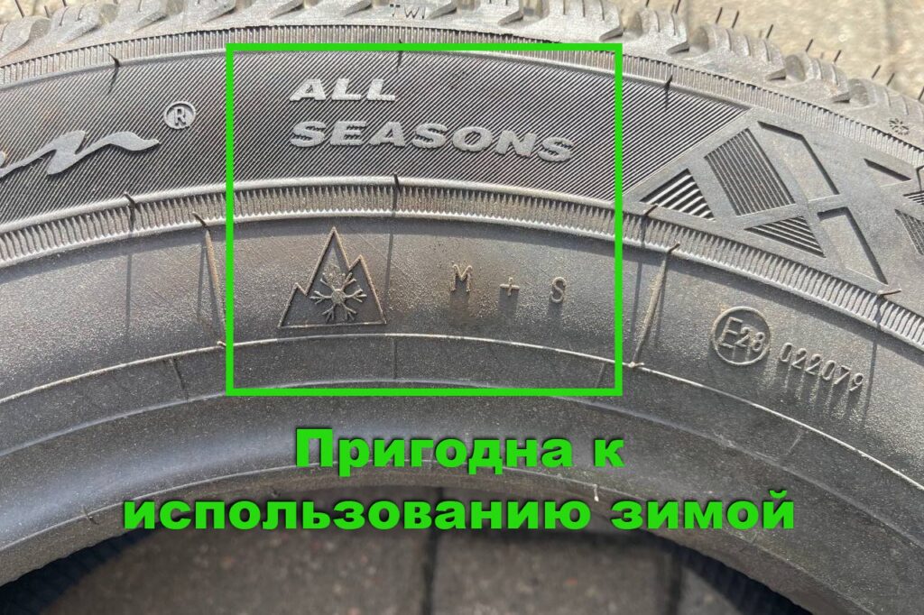 шина