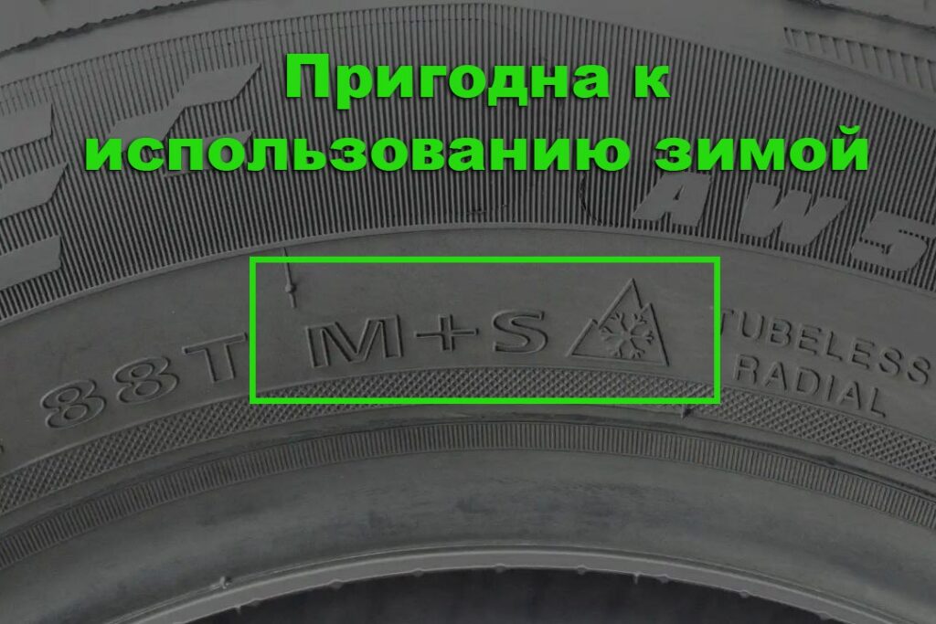 шина