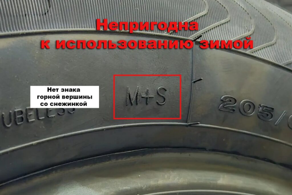 шина