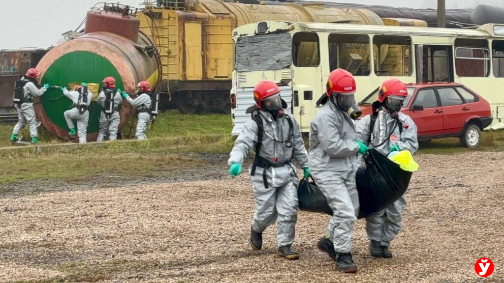 специалисты