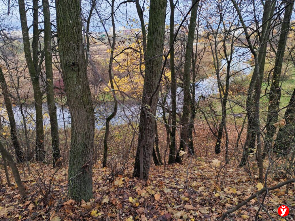 парк