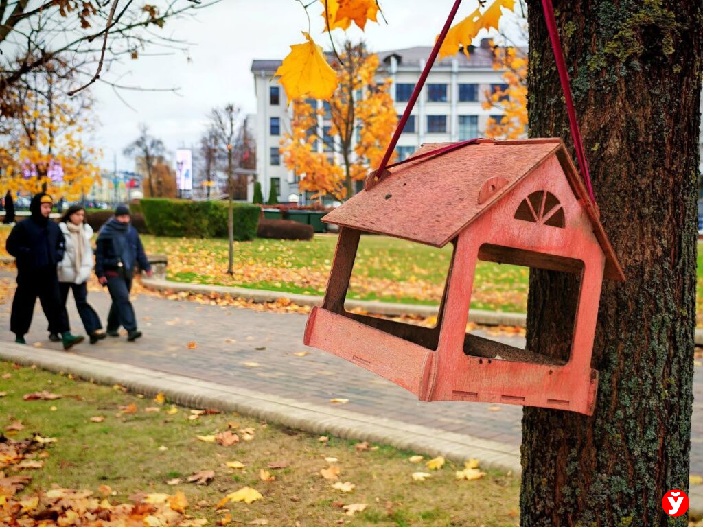 домик