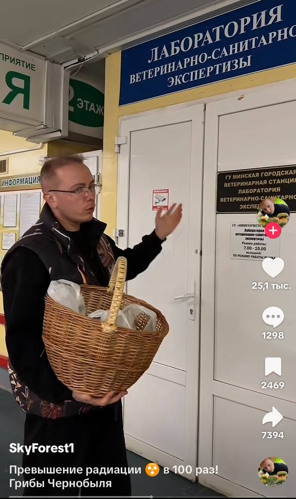 грибы