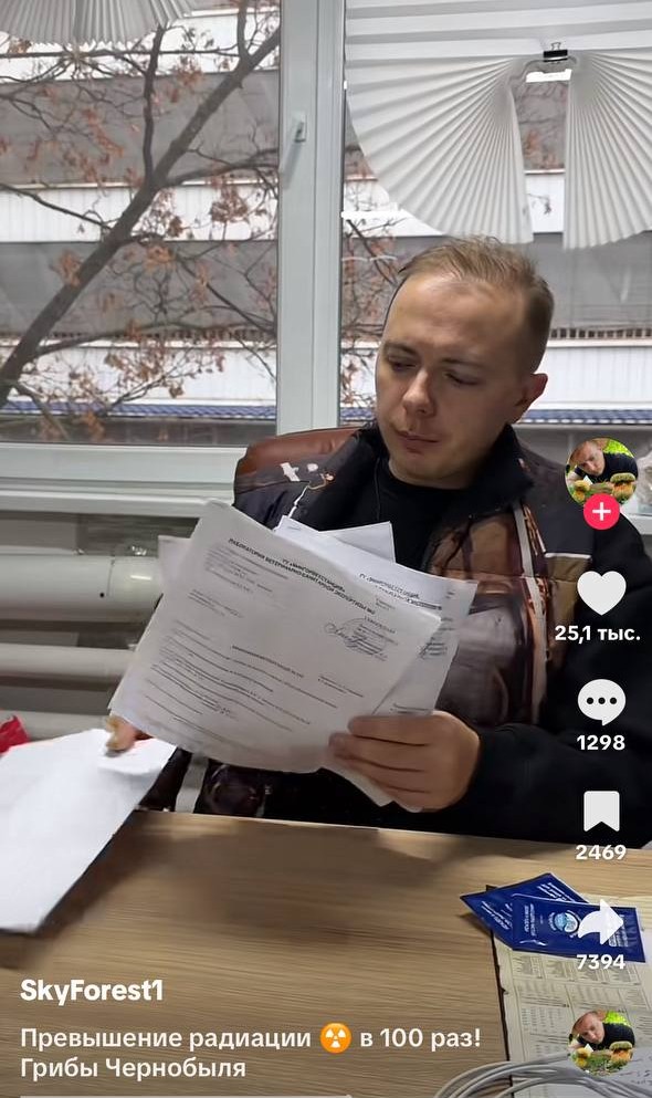 грибы