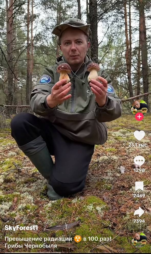 грибы