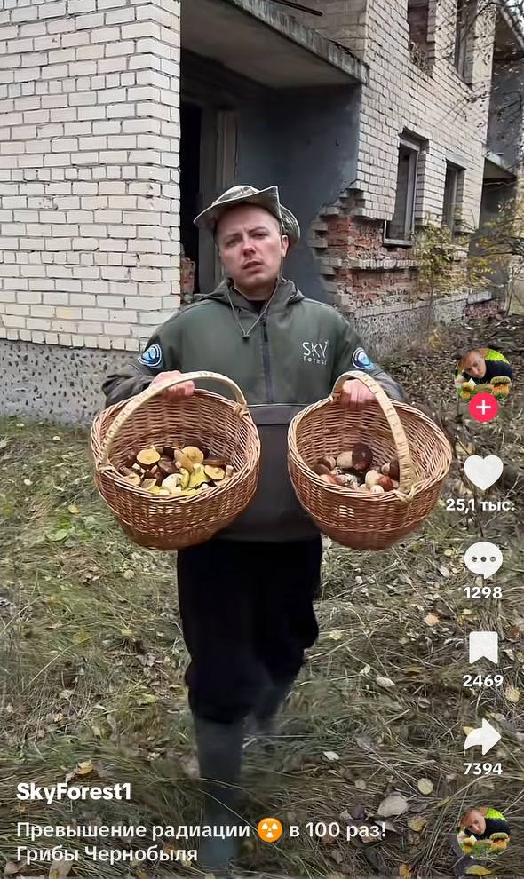 грибы