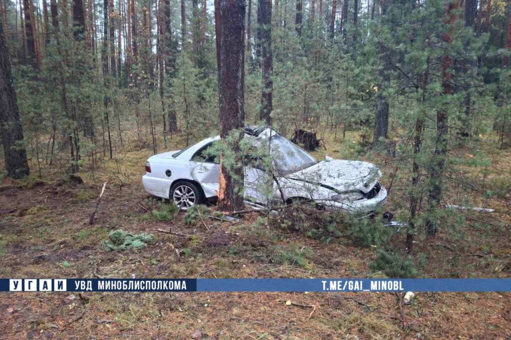 В Молодечненском районе водитель врезалась в дерево