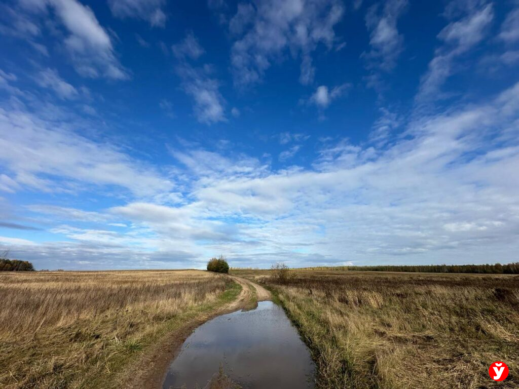 Белорусов ждёт тёплый четверг: до +15 °C и немного дождей