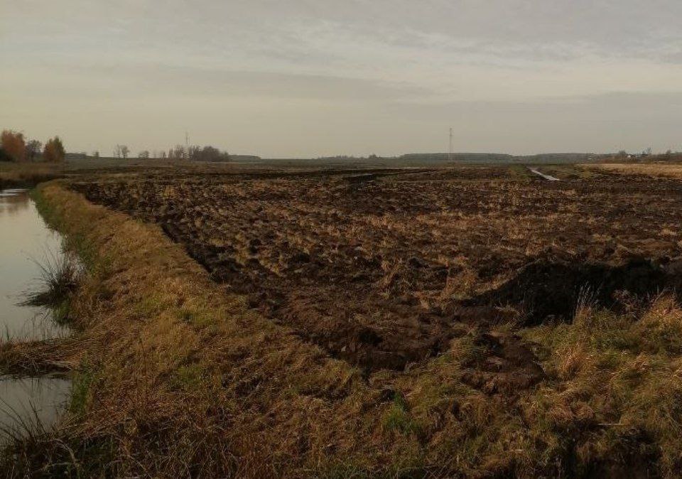 «Запахали аммиачную селитру»: сельчане в Слуцком районе подняли панику из-за работ в пойме реки