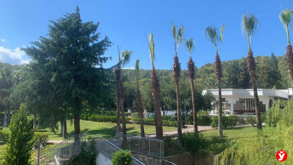 Семья из Крупок в Турции