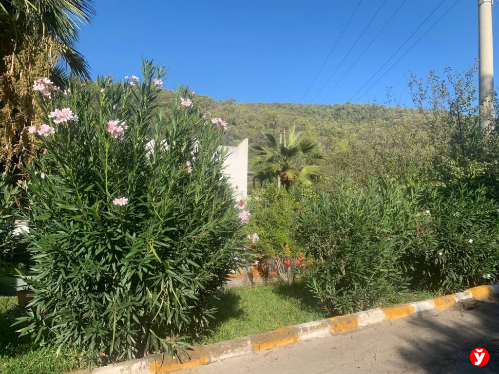 Семья из Крупок в Турции