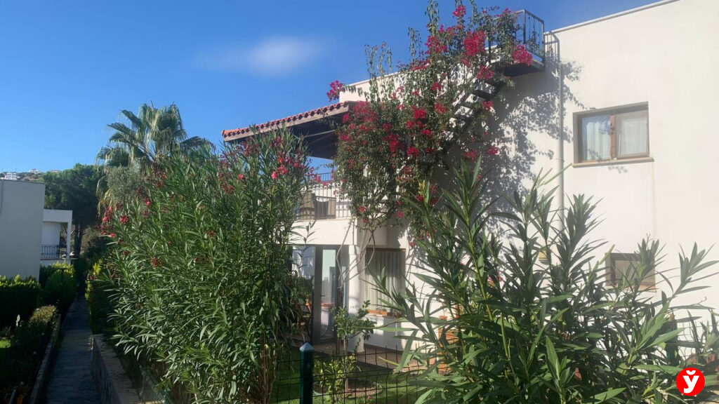 Семья из Крупок в Турции