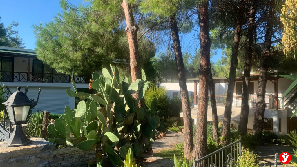 Семья из Крупок в Турции