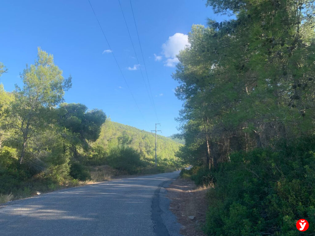 Семья из Крупок в Турции