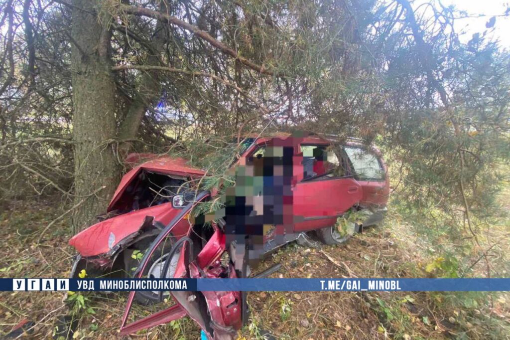 В Дзержинском районе легковушка врезалась в дерево — водитель погиб