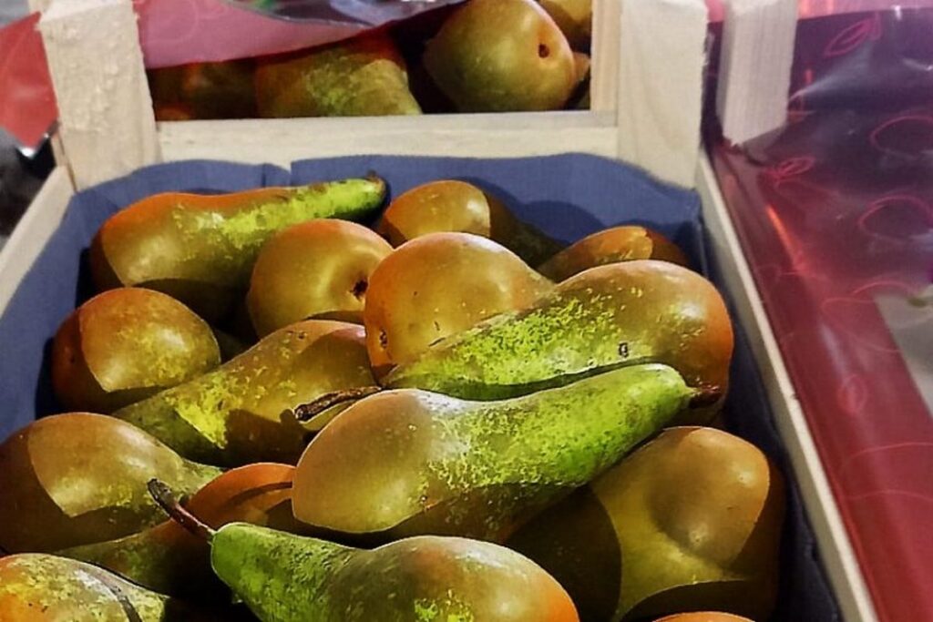 Россельхознадзор не пропустил 20 тонн груш, зараженных бурой монилиозной гнилью