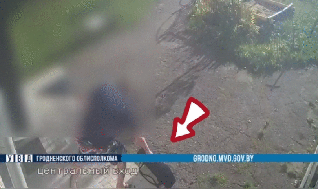 Житель Гродно попался на краже скрипки во время прямого эфира в TikTok
