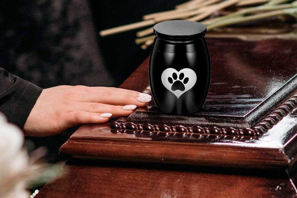 Похоронить «по-человечески»: появится ли в Минске крематорий для животных