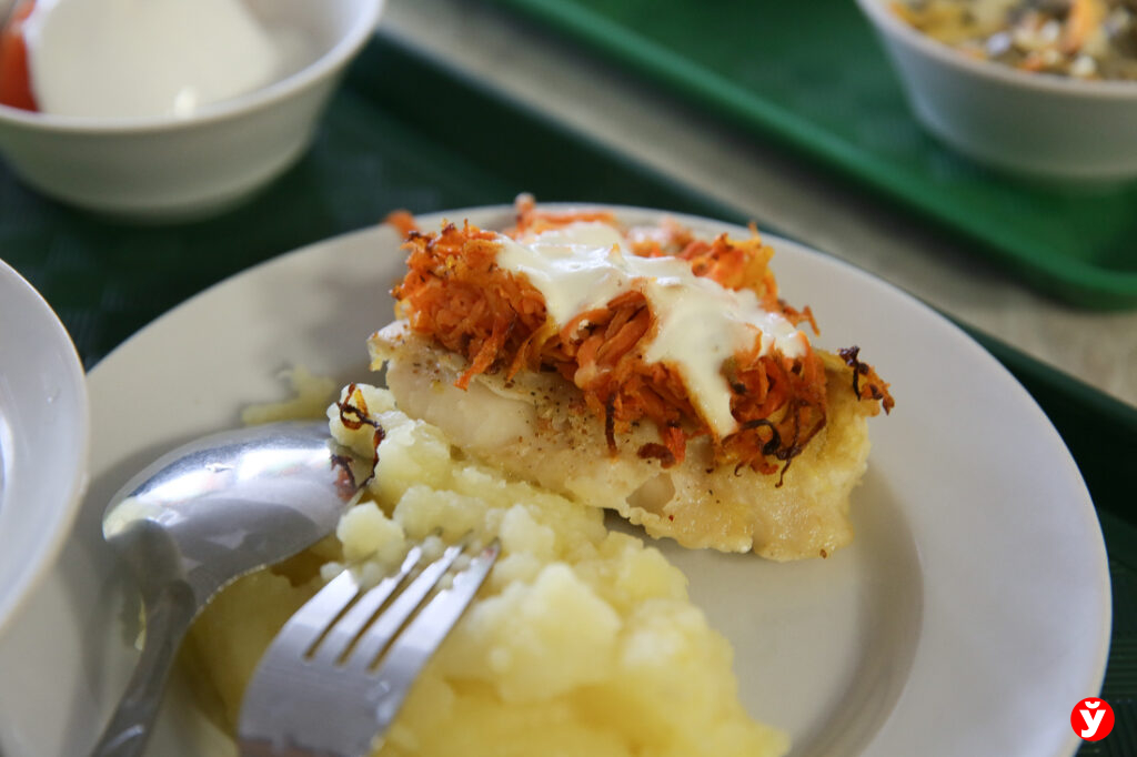 Белорусские школьники скоро попробуют «рыбу» без костей и запаха