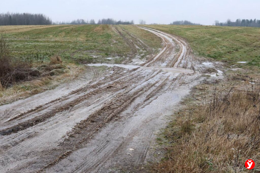 На карте есть, а на деле — нет: почему дороги в Айнаровичах Логойского района существуют только в навигаторе