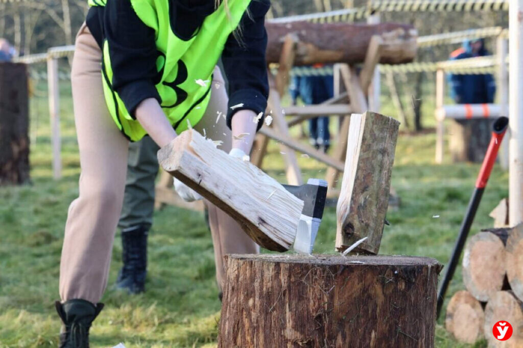 Чемпионат по колке дров ищет свой символ: объявлен творческий конкурс
