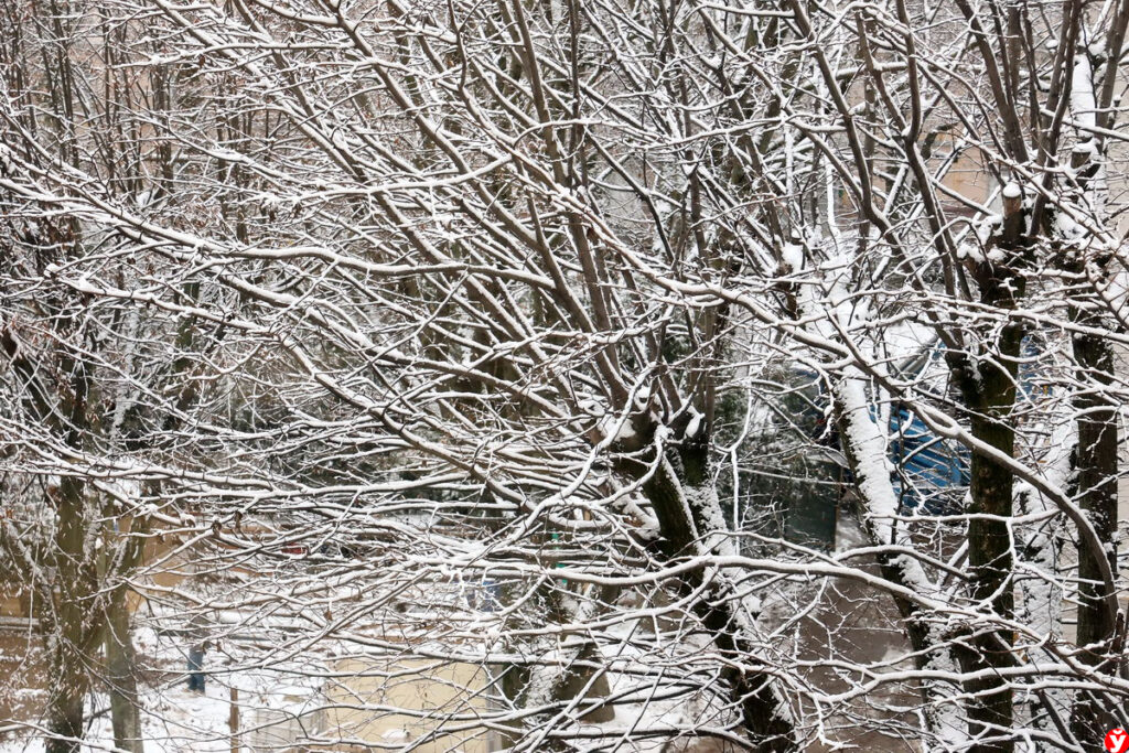 Прогноз погоды на 26 ноября. Оранжевый уровень опасности из-за тумана и сильных осадков