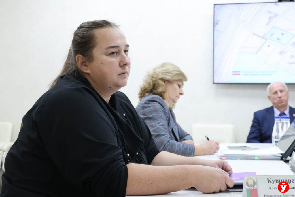 Кто ответит за подтопление участка? Жительница Логойщины пришла с просьбой к Кушнаренко