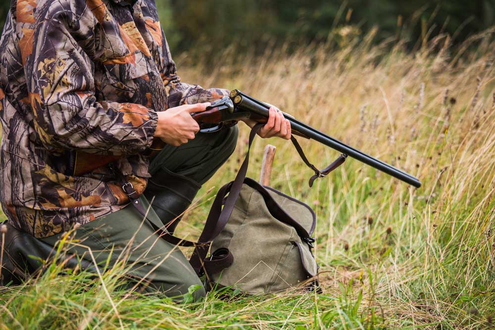 Минлесхоз опроверг слухи о новых правилах охоты с 1 января