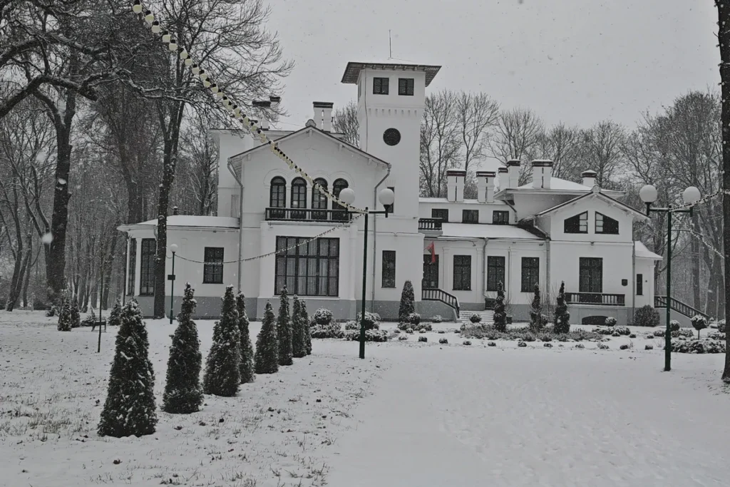 Белорусский город за ночь завалило снегом