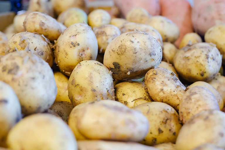 В МАРТ рассказали, сколько картошки заготовили для белорусов к зиме