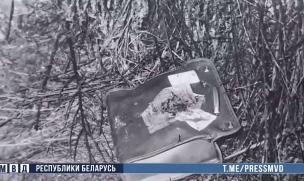 Брат оказался убийцей 9-летней девочки — в Гомельской области раскрыли преступление спустя 30 лет