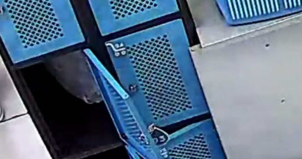 В Минске пенсионер забрал из камеры хранения магазина чужие вещи и выкинул их в урну