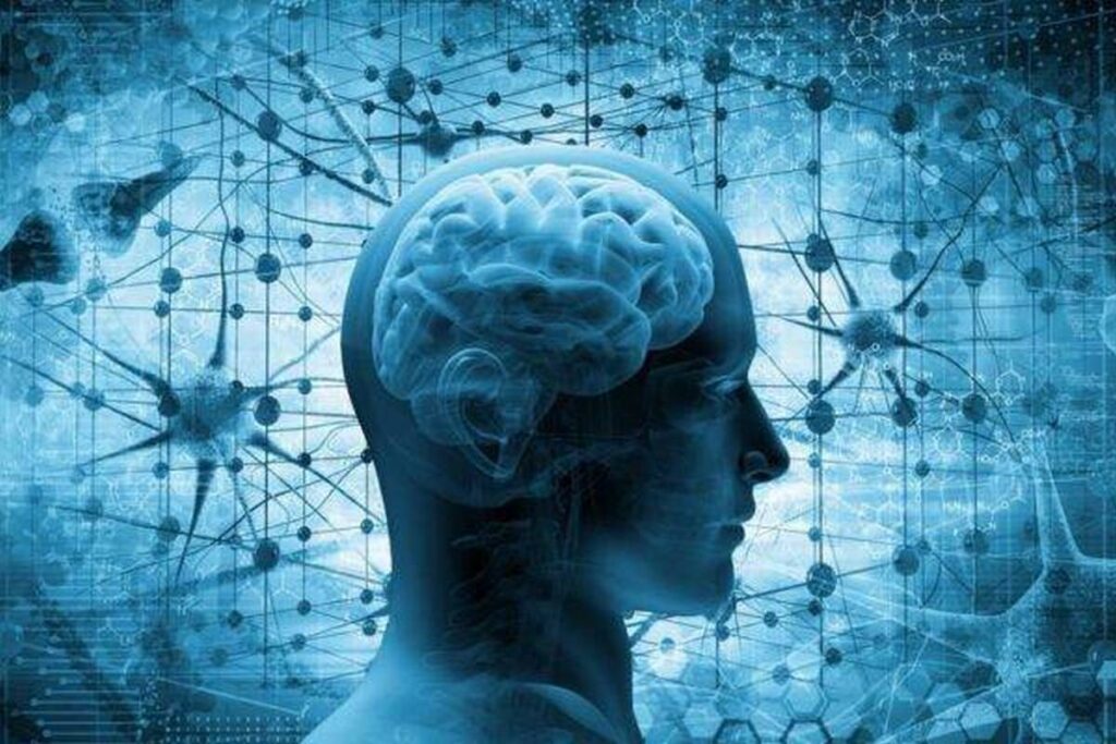 Ученые назвали возраст, когда мозг переключается во «взрослый» режим