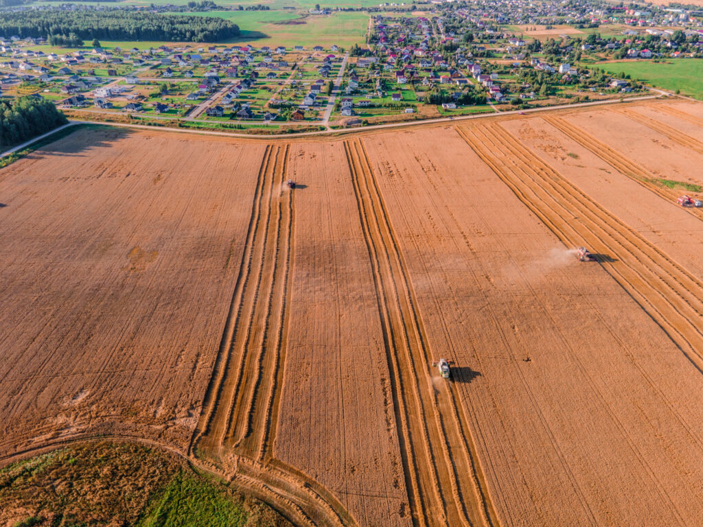 Молоко, мясо и яблоки рекордного урожая: чем живёт «Агро-сад «Рассвет»