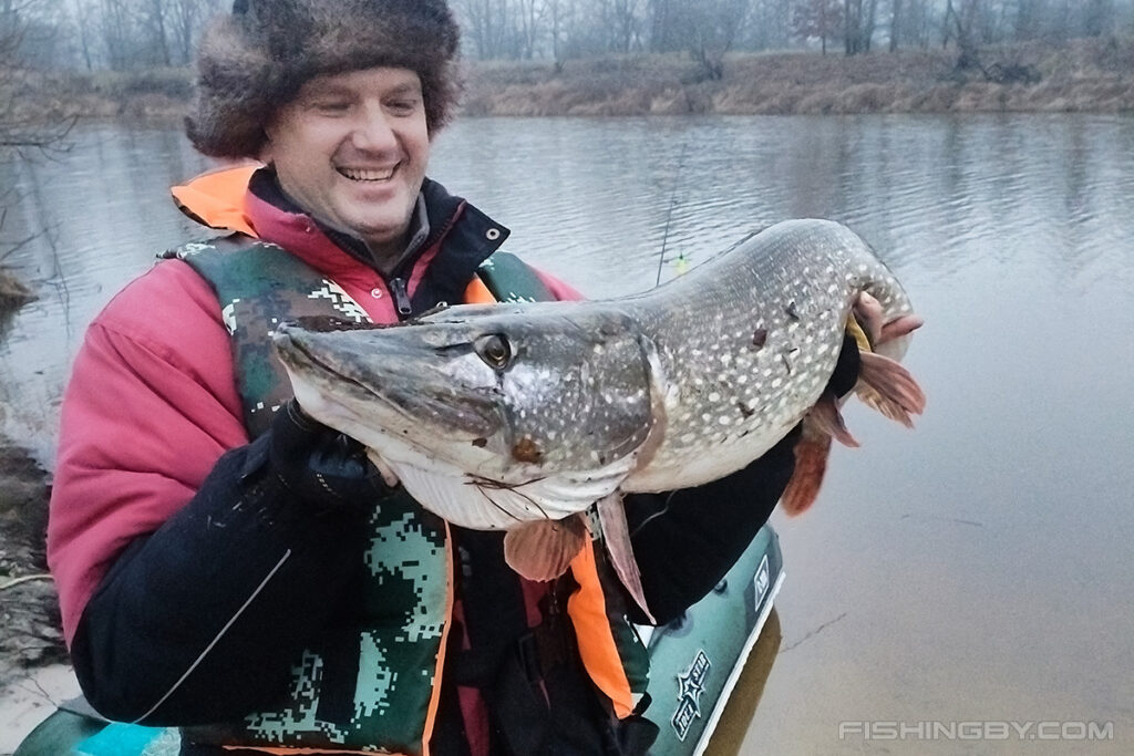 Днепровский монстр: щуку в 110 см и весом 9,5 кг поймали в Лоевском районе