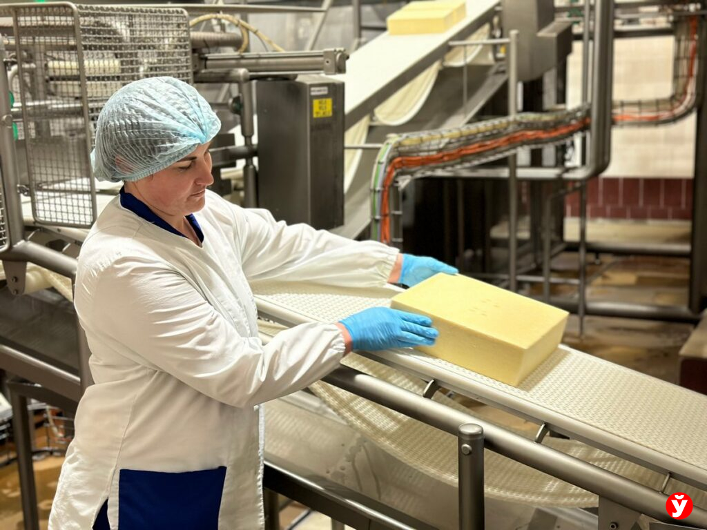 Наше оружие — масло, сыр, калий. Как Беларусь стала мировой аграрной державой, кормящей полмира