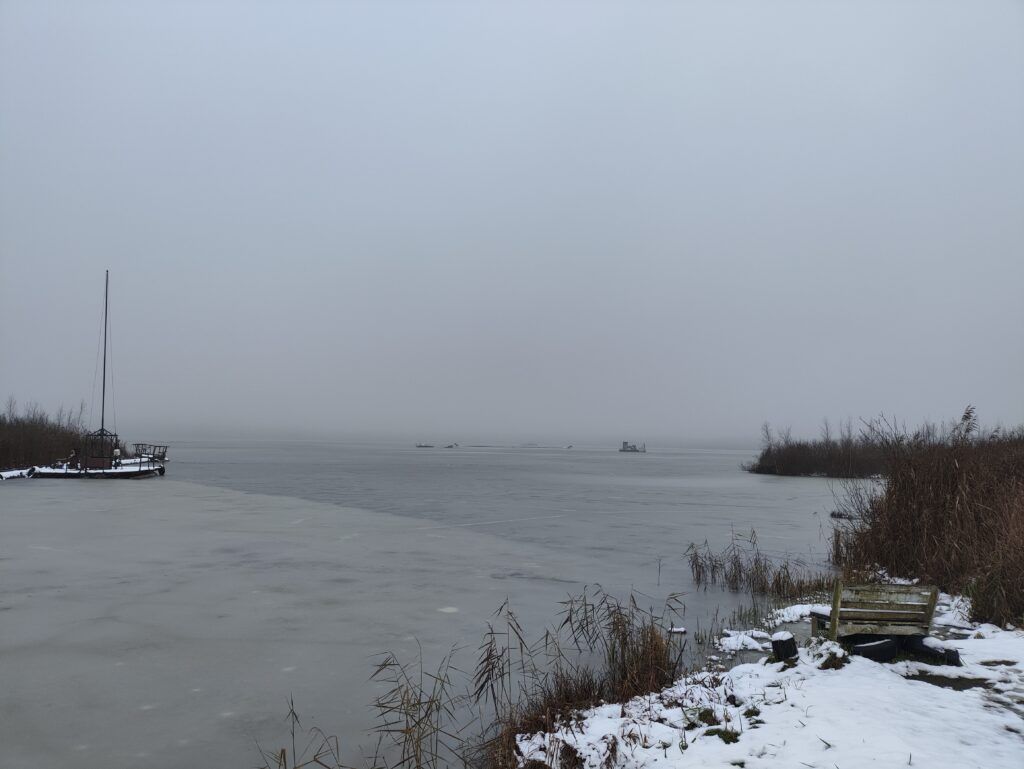 В озеро Судобль выпустили более тонны карпа и щуки — когда можно будет рыбачить