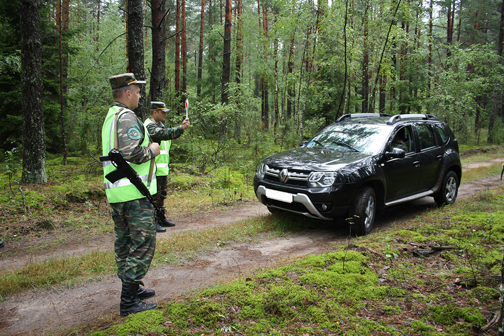 Щука обернулась штрафами: в Беловежской пуще поймали браконьеров из Бреста
