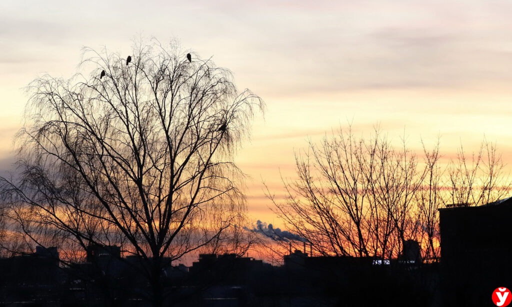 Какой день станет самым коротким в 2025 году — он продлится меньше 7 часов