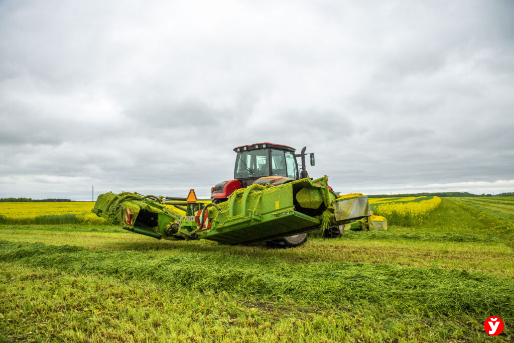 Лукашенко объявил 2025-й эталоном успеха для белорусских аграриев